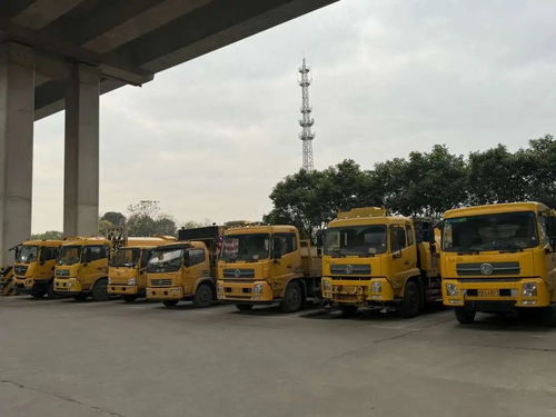 寒潮來襲，上海道路貨運行業多措并舉力保暢通